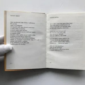 Chůze střemhlav, Jana Pohanková, Jana Lochovská