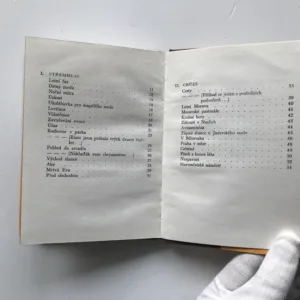 Chůze střemhlav, Jana Pohanková, Jana Lochovská