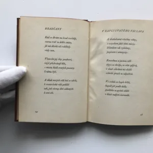 Můj domov, Rainer Maria Rilke