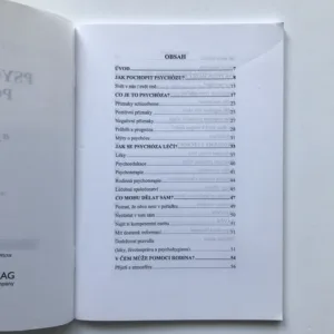 Psychotická porucha a jak se jí bránit, Ján Praško, Martin Bareš, Jiří Horáček, Dagmar Seifertová, Jiří Šípek