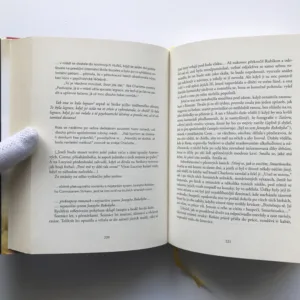 Hedvábník, Robert Galbraith