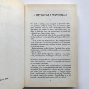 Troufalý autor osud, Ilona Borská