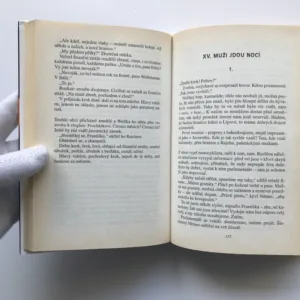 Troufalý autor osud, Ilona Borská