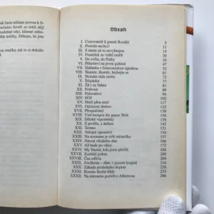 Troufalý autor osud, Ilona Borská