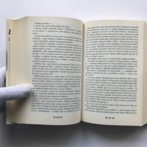 Uchovej si svůj sen, Barbara Taylor Bradford