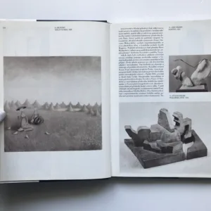 Nové umění v Čechách, Jindřich Chalupecký