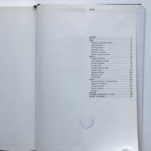 Nové umění v Čechách, Jindřich Chalupecký