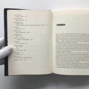 Nejlepší americké detektivní povídky 2, Scott Turow, kolektiv autorů