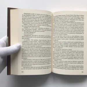 Vyvolávač deště, John Grisham