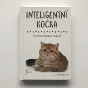 Inteligentní kočka (Poznáváme kočky a jejich schopnosti), Sally Morganová