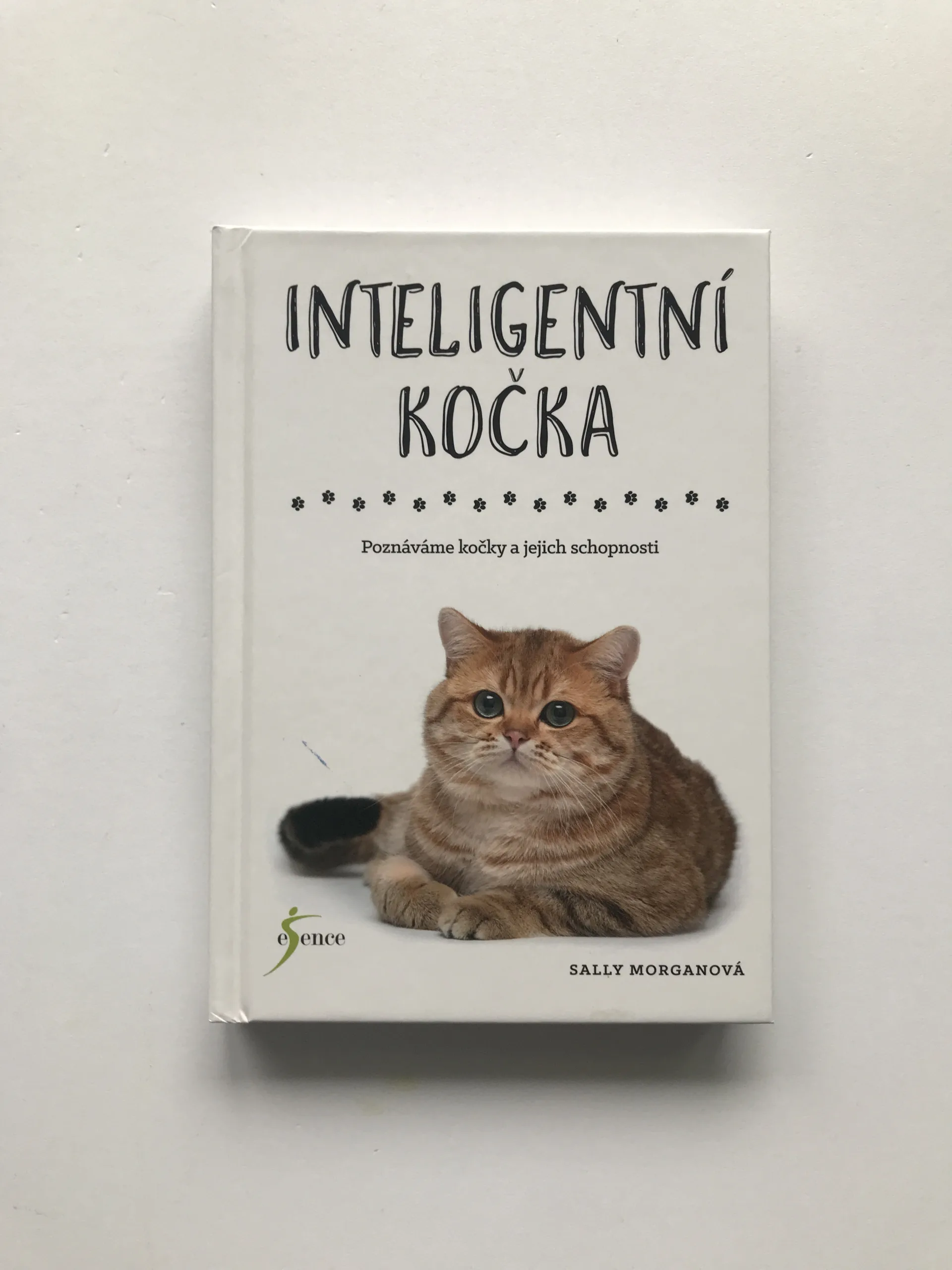 Inteligentní kočka (Poznáváme kočky a jejich schopnosti), Sally Morganová