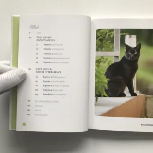 Inteligentní kočka (Poznáváme kočky a jejich schopnosti), Sally Morganová