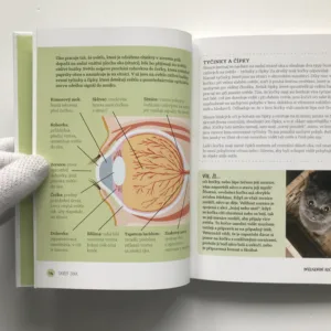 Inteligentní kočka (Poznáváme kočky a jejich schopnosti), Sally Morganová