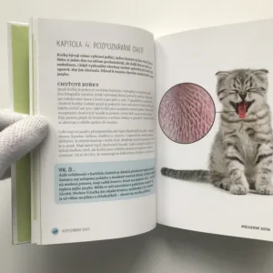 Inteligentní kočka (Poznáváme kočky a jejich schopnosti), Sally Morganová