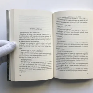 Letenka z džungle, Sandra Brown