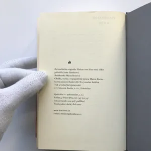 Dívka, která si hrála s ohněm, Stieg Larsson