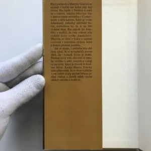 Dům na Tara Road, Maeve Binchy