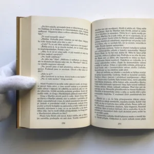 Dům na Tara Road, Maeve Binchy