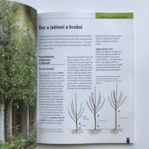 Řez ovocných stromů, Martin Stangl