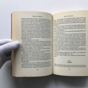 Smrt ve škole / Do náruče smrti, Patrick Quentin