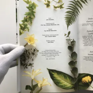 Příjemný život s květinami, John Brookes