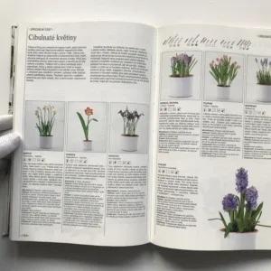 Příjemný život s květinami, John Brookes