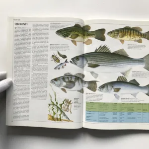 Encyklopedie rybaření (Náčiní, techniky, druhy ryb, návnady), John Wilson, Arthur Oglesby, Trevor Housby, Mike Millman, Peter Gathercole