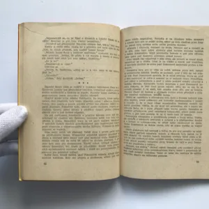 Ďábelská kráska (Láska a zločin v Paříži), Joan Fleming