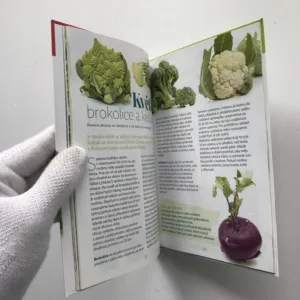 Levná a zdravá zelenina, Soňa Havlová, kolektiv autorů