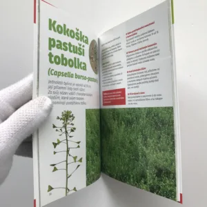 Zelená lékárna, Soňa Havlová, Jan Lodl, Miloš Kučera, kolektiv autorů