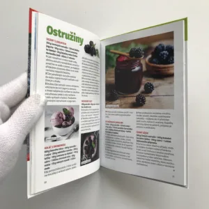 Ovocné recepty, Soňa Havlová, Hana Stuchlíková, kolektiv autorů