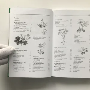 Domácí recepty proti nemocem, Franziska von Au