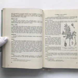 Speciální pěstování rostlin, kolektiv autorů