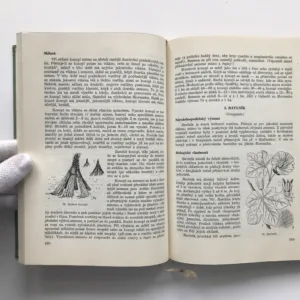 Speciální pěstování rostlin, kolektiv autorů