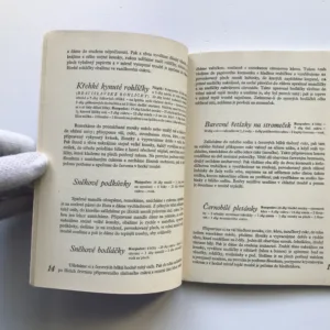 Cukrovinky a pamlsky na vánoční stromeček i na vánoční stoleček, Marie Sandtnerová