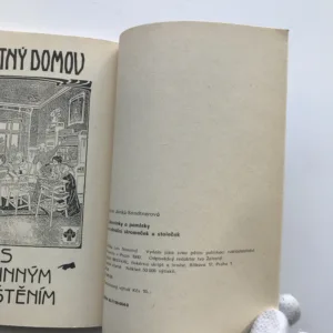 Cukrovinky a pamlsky na vánoční stromeček i na vánoční stoleček, Marie Sandtnerová