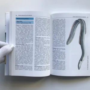 Naše ryby a rybaření, Lubomír Hanel, Jiří Malý