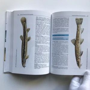 Naše ryby a rybaření, Lubomír Hanel, Jiří Malý