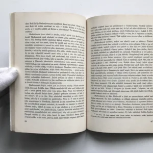 Následování (Výklad kázání na hoře), Dietrich Bonhoeffer