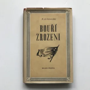 Bouří zrozeni, Nikolaj Aleksejevič Ostrovskij