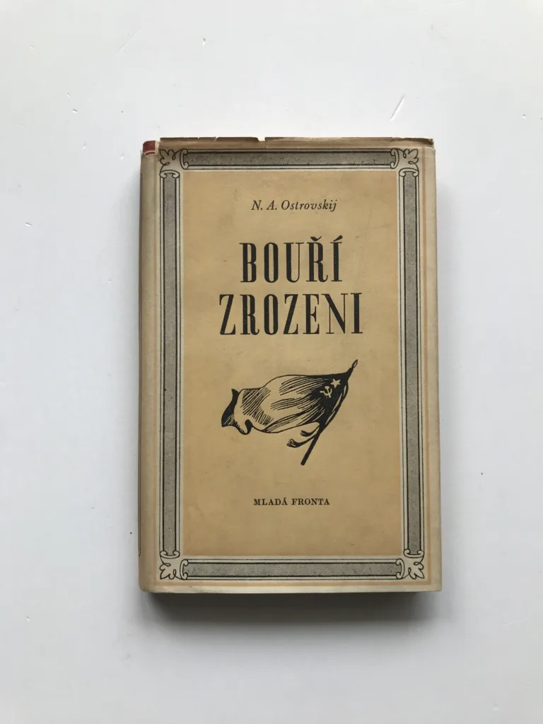 Bouří zrozeni, Nikolaj Aleksejevič Ostrovskij