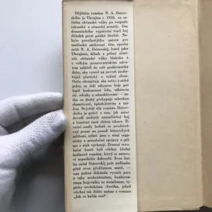 Bouří zrozeni, Nikolaj Aleksejevič Ostrovskij