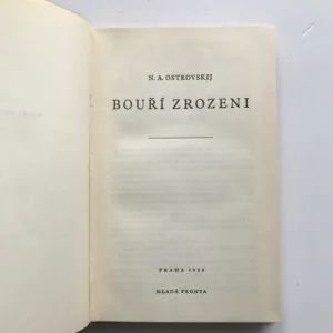 Bouří zrozeni, Nikolaj Aleksejevič Ostrovskij