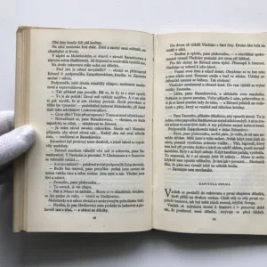 Bouří zrozeni, Nikolaj Aleksejevič Ostrovskij