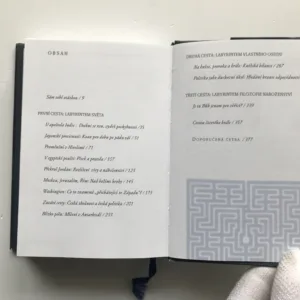 Co je bez chvění, není pevné (Labyrintem světa s vírou a pochybností), Tomáš Halík