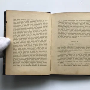 Divadelní hry Jana Nerudy, Jan Neruda