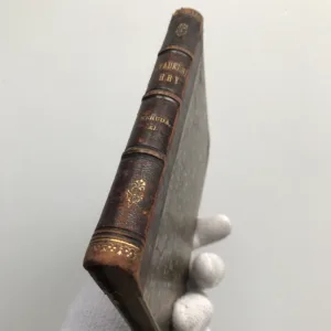 Divadelní hry Jana Nerudy, Jan Neruda