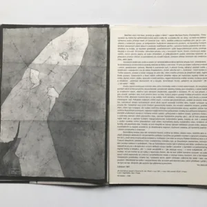 Opatov 1988 (katalog), Ladislav Novák, Jiří Schmidt, Viktor Pivovarov, Milan Knížák, Petr Pavlík, Tomáš Švéda, Kurt Gebauer, Stanislav Diviš, Dana Chatrná, Jozef Jankovič, Jiří Beránek, Jiří Načeradský, Jiří Valoch, Tomáš Ruller