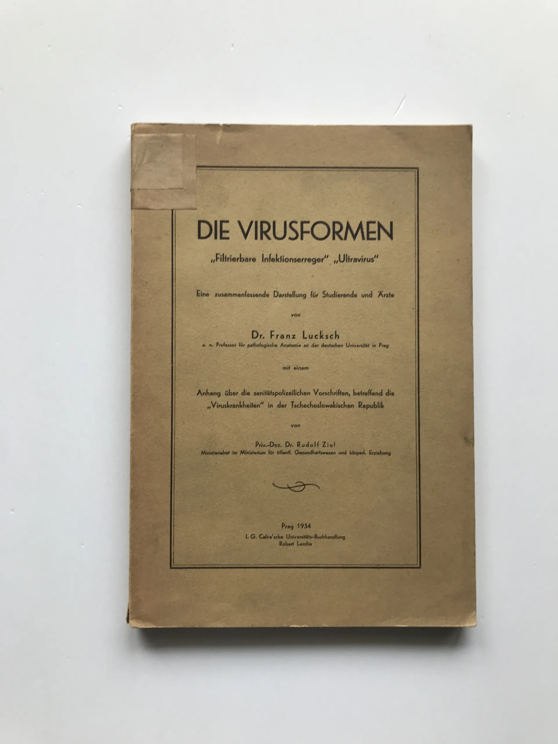 Die Virusformen (Filtrierbare Infektionserreger, Ultravirus), Franz Lucksch