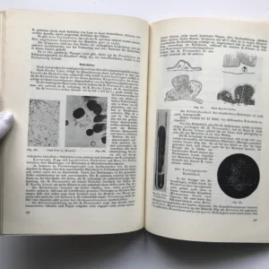 Die Virusformen (Filtrierbare Infektionserreger, Ultravirus), Franz Lucksch